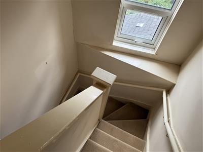 Picture 13
